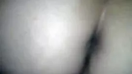 四条腿上的妓女在屁股上得到公鸡