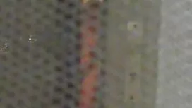 与她变态的儿子乱伦一个单身母亲