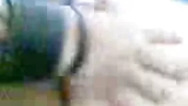 它在他顺从的女朋友面前奔跑
